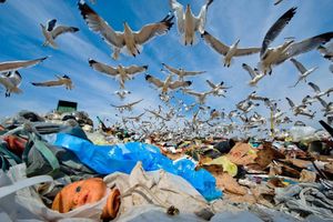MUKE PO OTPADU Splitsko-dalmatinskim smećem bavit će se EU