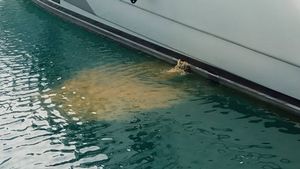 FEKALIJE I OTPAD S BRODOVA Poštuju li se hrvatski pomorski propisi?