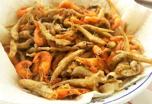 ŽELINA KUŽINA Frigani gavuni