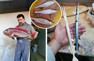 RIBE ZA VJEČNOST Priča o umjetniku koji ih preparira i stvara iz drveta