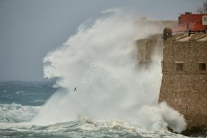 PETAR BARANOVIĆ: Valovi upozorenja