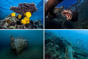 FOTO “More života” Dalibora Andresa otvara Novogodišnju izložbu Fotokluba Split