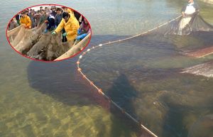 Institut za oceanografiju i ribarstvo: “Riba, koja se ne uzorkuje u Tarskoj vali, pušta se na slobodu!”