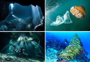 Prvi hrvatski ronilački kongres