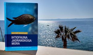 MORSKA BIBLIOTEKA Ihtiofauna Jadranskog mora – Vrijedan doprinos ribarstveno-biološkoj znanosti