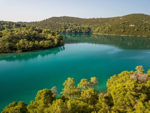 U NP Mljet počinje postavljanje kolektora za skupljanje mlađi periski