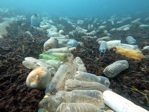 Kako oporavak Europe učiniti kružnim i zelenim? Industrija plastike svjesna je svojih obveza