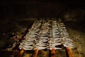 Posebne godišnje ribolovne dozvole moguće kupiti do 28. veljače