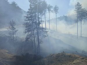 UPOZORENJE GRAĐANIMA Puno je požara otvorenog prostora, pripazite!