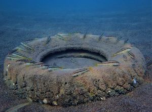 AUTOGUME U MORU Odakle ih toliko i jesu li opasne za okoliš?