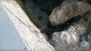 VIDEO Dvostruki izlijev kanalizacije u more, Dubrovčani poručili: “Udavit ćemo se u vlastitim govnima!”