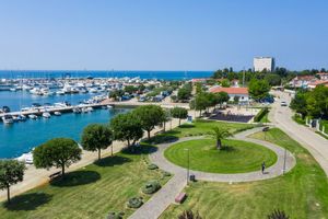 I UMAG OBILJEŽAVA DAN PLANETA ZEMLJA: Posađeno 30 novih stabala na gradskoj šetnici