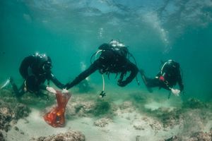 VELIKA MEĐUNARODNA EKO AKCIJA Čak 180 ronioca čisti Savudrijsku valu!