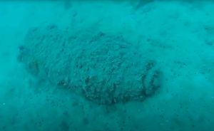 VIDEO Ispred Rafinerije nafte Urinj pronađena avionska bomba iz Drugog svjetskog rata