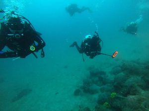 Ronioci pokrenuli peticiju za odbacivanje Pravilnika o sigurnosti ronjenja koji je osvanuo na e-Savjetovanju