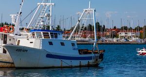 Ministarstvo poljoprivrede u 2020. isplatilo gotovo 7 milijardi kuna poljoprivrednicima i ribarima