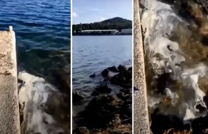 VIDEO Zagađenje mora i obale u Salima: “Tvornica ribljih konzervi kao da je u zlatnim 70-ima”