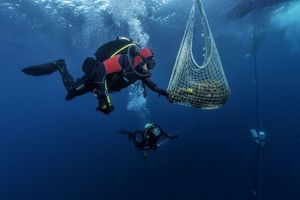 Počinje istraživanje STRATON 2020.