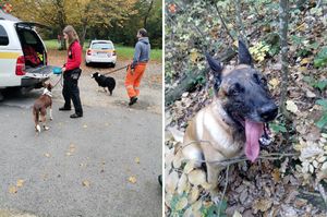 HGSS bogatiji za pet novih licenciranih potražnih timova