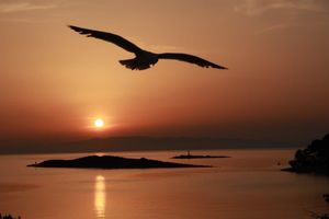 Završen foto natječaj o prirodnoj, kulturnoj i tradicijskoj baštini Mljeta