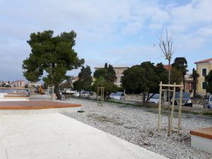 Posađena nova stabla na zadarskom kupalištu Jadran