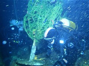 Tradicija puštanja božićne jelke u kostrensko podmorje