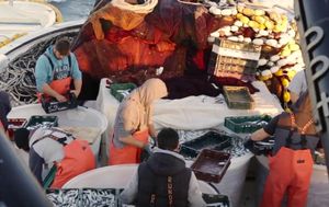 Ribarstvo i označavanje proizvoda glavne teme AGRIFISH-a