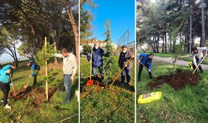VELIK INTERES ZA RADNE AKCIJE Porečani zasadili čak 600 stabala!