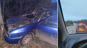 U teškoj prometnoj nesreći kod Umaga vozilom usmrtio 6 magaraca