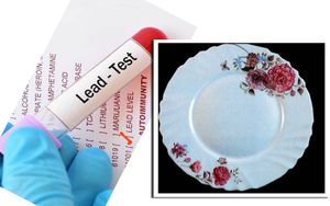 PRIPAZITE! S ovih tanjura iz Kine mogli biste se najesti olova