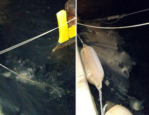 Novi ekološki incident u Vranjicu: “Pod okriljem noći, nepoznat netko”