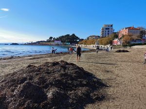 NEMA VIŠE KONCESIONARA Od ljeta plažu Bačvice održavat će Grad Split