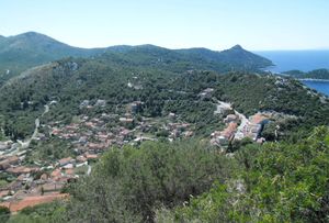 VELIKA PRIJEVARA NA LASTOVU Bračni par krivotvorio ugovore, datirajući ih više od sto godina unatrag