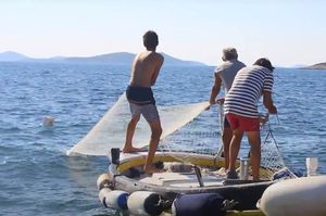 Načelnik Konavala ministrici poljoprivrede: “Produljite mogućnosti ribolova mrežama potegačama”