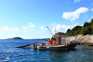 Unatoč upozorenjima struke, Ministarstvo poljoprivrede produljilo izlov mrežama potegačama za dvije godine!