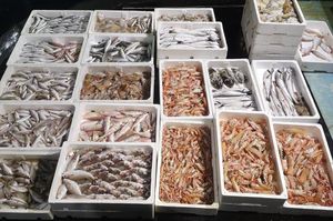 NOVI NATJEČAJ POTPORE 40 milijuna kuna za stavljanje na tržište proizvoda ribarstva i akvakulture