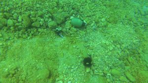 Policija provodi istragu: “Da, pronađene su 4 ručne bombe ispred plaže u Makarskoj, na 4 m dubine!”