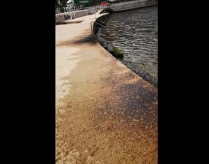 EKOLOŠKI INCIDENT U RIJECI Procurila nafta iz riječke rafinerije, zagađena plaža u Bakarcu!