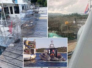 OSVRT JURICE GAŠPARA Zašto je „mali hrvacki ćovijek“ najveća štetočina u Jadranu?