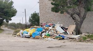 Dobro gospodarenje otpadom najveća je potreba pučinskih otoka: Socio-ekološki primjer otoka Žirja