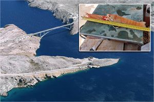 SVJETSKI REKORD! Kod Paškog mosta ulovljen škamp dug čak – 43 centimetra