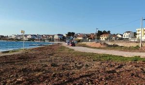 NASTAVLJA SE EKOCID U ZADRU: Netko je posjekao čitavu borovu šumicu na Diklu