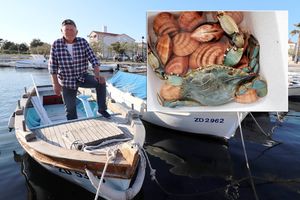 Viranin ulovio plavog raka, opakog sveždera koji jede autohtone vrste