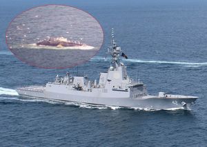 Australski brodovi u američku luku San Diego na trupu dovukli dva ugrožena kita