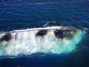 JUTRO POSLIJE U KAŠTELIMA Posljedice katastrofe su posvuda: Jedna osoba ozlijeđena, oštećen veći broj plovila!
