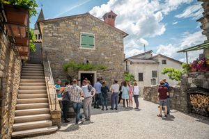 Istarski vinari ponovno otvaraju vrata svojih podruma