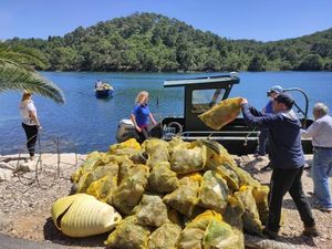 DAN DRŽAVNOSTI U NP MLJET: Veterani i ronioci čistili podmorje od otpada
