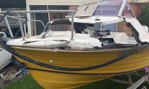 NEVJEROJATAN PEH Mladića teško ozlijedio kit koji je pao na njegov čamac