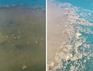 ODVRATNO: Kraj plaže u Pagu netko ispustio gomilu fekalija u more!