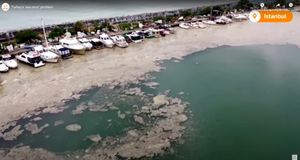 MORSKA SLUZ PRIJETI: Pojavila se u Turskoj, hoće li stići i do Jadrana?